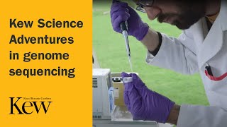 Kew Science - Adventures in genome sequencing