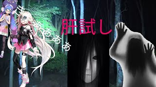 「茶番」夏なので肝試しをしてしまった