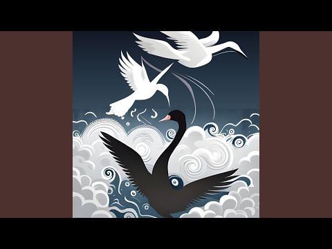 Black Swans And White Crows - Crop Circle Dusters