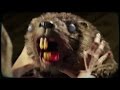 (18+) ZOMBEAVERS Theme Song (Official, feat ...
