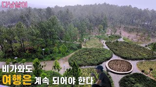 다낭살이만 6년, 처음 가본 후에 도시 하루종일 비... 그런데 유적지에 가면 비가 안오네 희한하구만.. #…