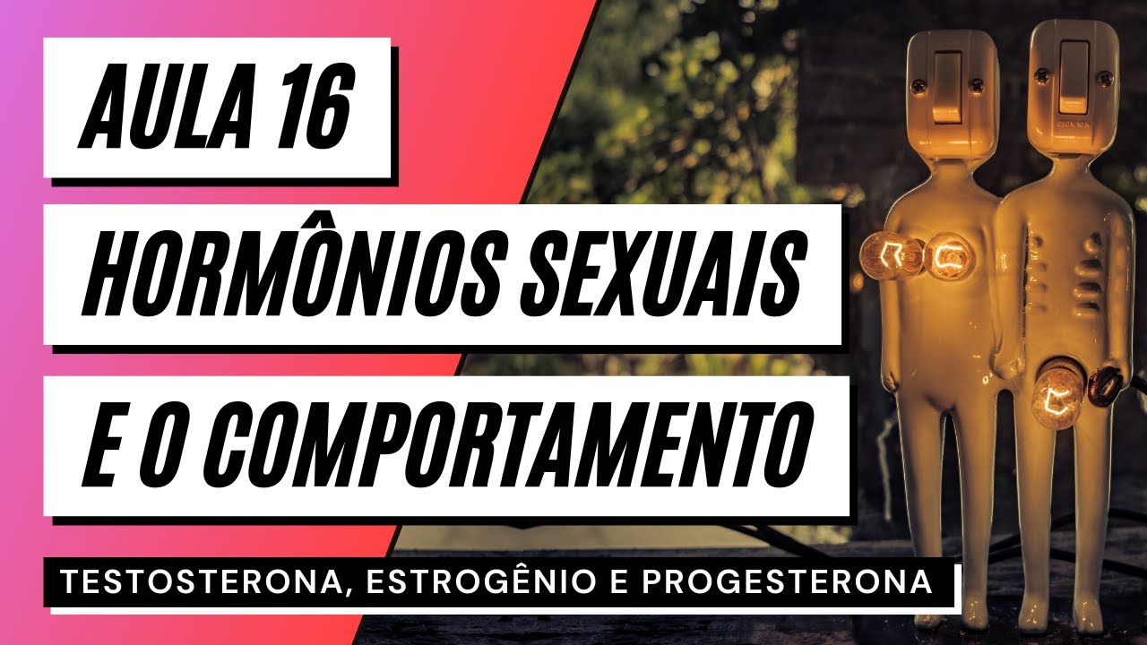 Videoaula 16 Hormônios sexuais e o comportamento - TESTOSTERONA, ESTROGÊNIO E PROGESTERONA
