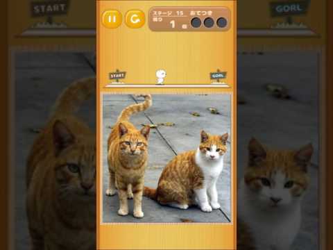change cats -a-ha!experience- Video