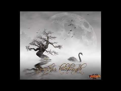 eSGé (MRN) X Mesélhetne