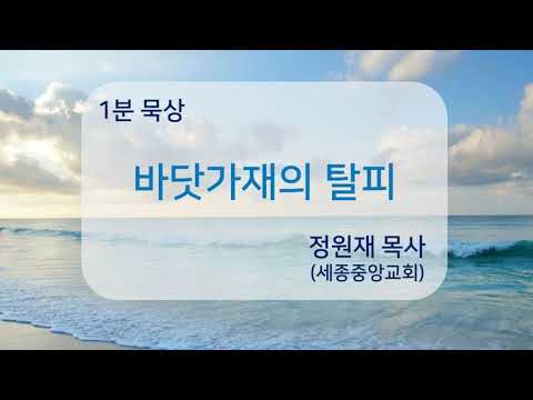 YouTube 영상 썸네일