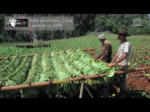 Prêmio Melina Mercouri UNESCO-Grécia e Paisagens Culturais 2019