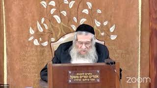 הרה"ג הרב וועכטר שליט"א י"ט אייר תשפ"ד - מאמר הרבי הרש"ב תרנ"ה ד"ה מושכני אחריך נרוצה חלק ד (הרב אברהם מנחם מענדל וכטר) - התמונה מוצגת ישירות מתוך אתר האינטרנט יוטיוב. זכויות היוצרים בתמונה שייכות ליוצרה. קישור קרדיט למקור התוכן נמצא בתוך דף הסרטון