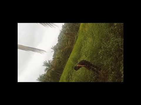 The beauty of Nature - Vayanad😉😘/Bishr Tech vlog