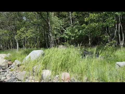 02 Rantapuusto Etelän Pirskeri Luvia