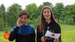 Oppsummering av 2017