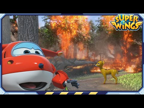 Witness21 Editor  2023 11 23