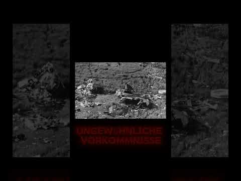 Die mysteriösen Folgen von Flug 401 #analoger #horrorstories #gruselgeschichten