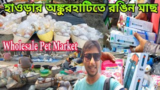 হাওড়ার অঙ্কুরহাটির রঙিন মাছের হাট | Ankurhati Fish Pet Market | Howrah Pet Market | Fish Market 