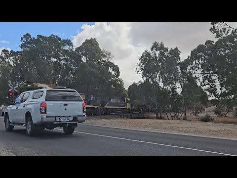 2PM6 PN up "Linfox Express #2" (NR53, NR111), Perth to Melbourne, 1400 (SA), 3/4/25, Bordertown SA