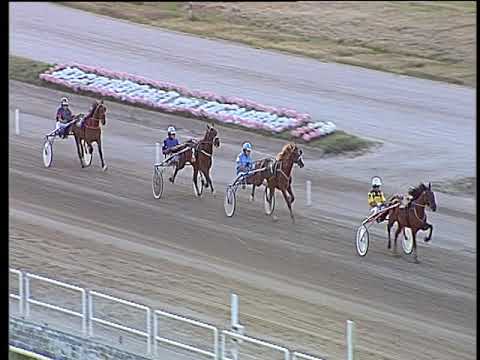 Trotto 30/06/2019 - 3ª prova di qualifica