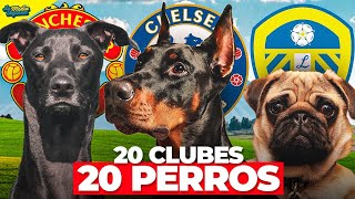 QUÉ RAZA DE PERRO ES CADA CLUB DE LA PREMIER LEAGUE 25/26