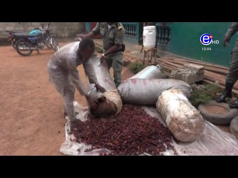 PIDGIN NEWS WEDNESDAY 30th DECEMBER 2020 - EQUINOXE TV