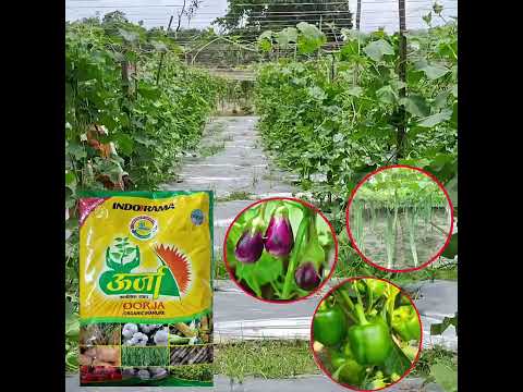 Oorja কৃত্রিম জৈব সার