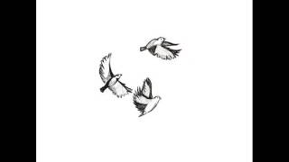 She Says - Howie Day