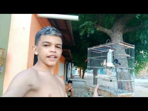 Campina Dinho e a criação do Lizandro