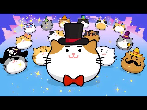 Crazy Kitty Tap Video