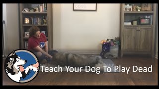 Teach Your Dog To Play Dead
