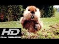 Caddyshack • I'm Alright • Kenny Loggins