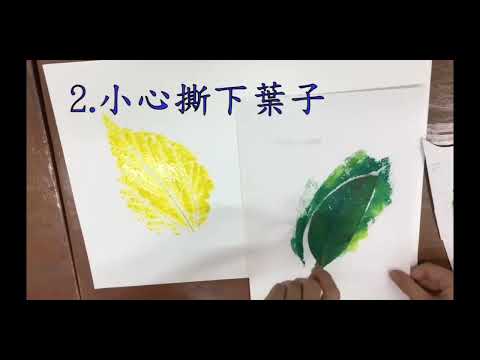 親子活動的短片電子教學資源