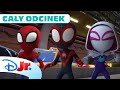 Cały Odcinek Przerwane świętowanie Spidey I Super Kumple Disney Junior Polska