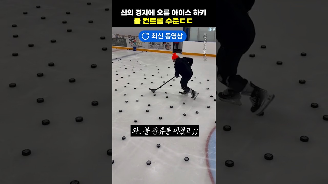 신의 경지에 오른 아이스 하키 볼 컨트롤 수준ㄷㄷ