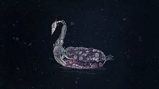 Black Swan Music Video