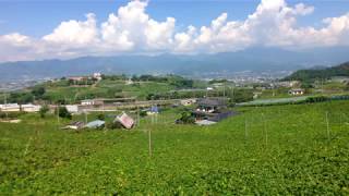 ◉絶景の勝沼ぶどう郷＝  189系臨時あずさ, 211系 E257系