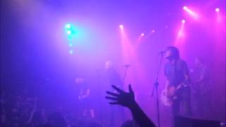 buitres - Del cardal