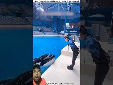 #dolphin mask #short video #football #Cristiano Ronaldo #Lionel Mayer #Neymar Junior #Kylian Mbappé