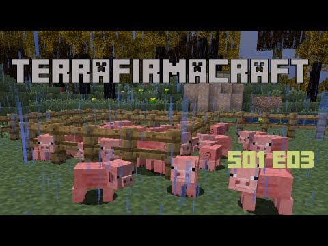 Mag0ca Terrafirmacraft Server S01E03 - Life on the country side