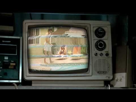 Mr. T and Snickers are back!