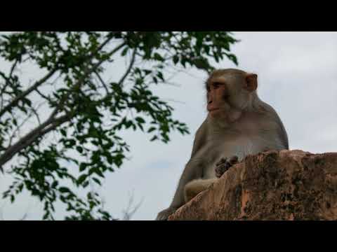 Standing in Line - Dave Ellesmere