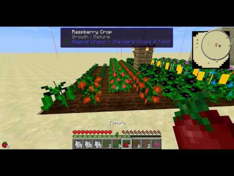 FTB (Monster) - Starting Foods [FTB Tutorials]