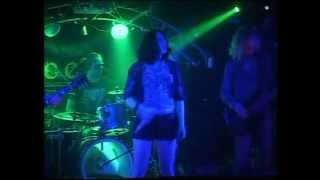 Acelsia- Haven Live Snooty Fox 2013