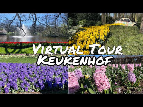 4K HDR Keukenhof Virtual Walk Tour | Keukenhof 2022