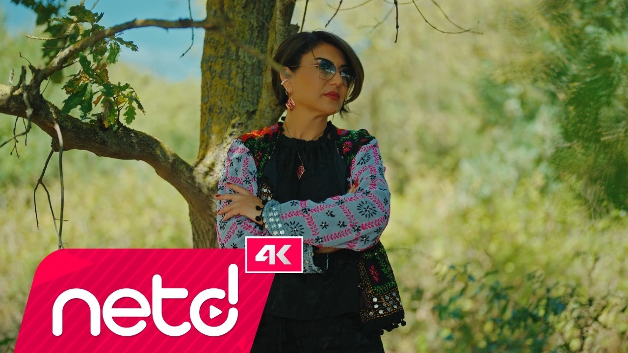 Meral Türkan - Gelmişim Kapına