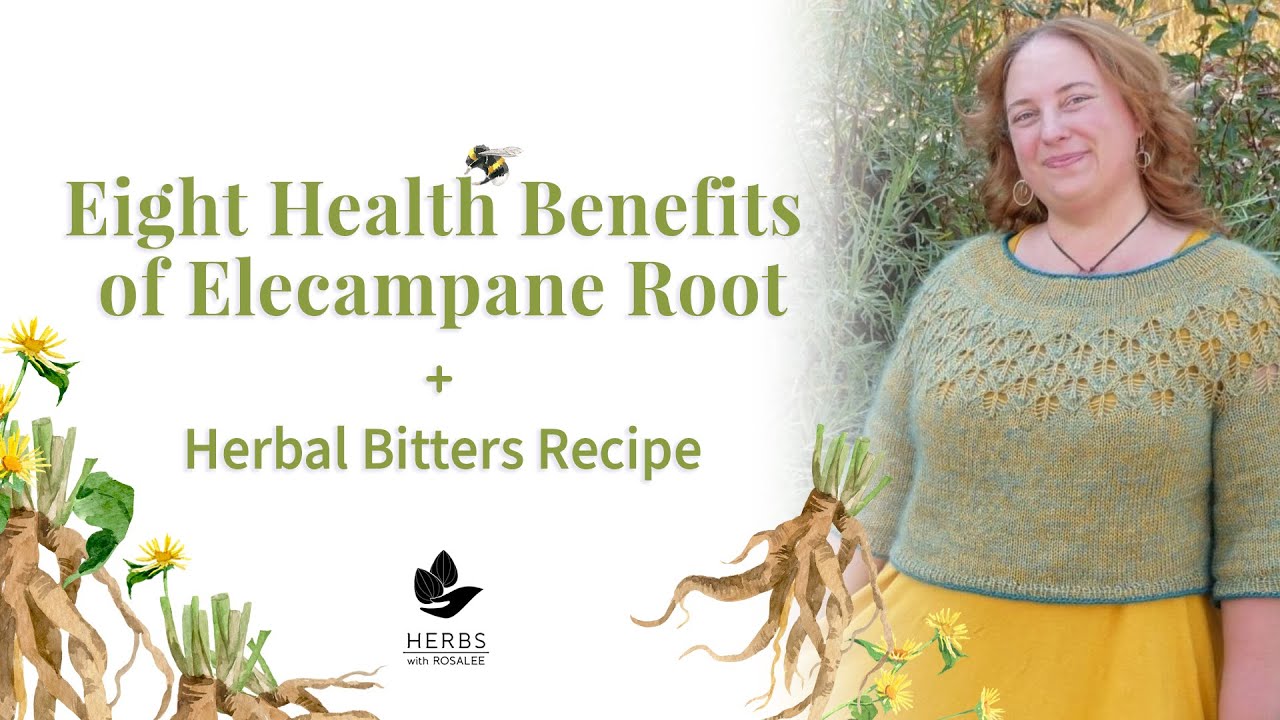 Benefits of Elecampane Root + Elecampane Herbal Bitters Recipe