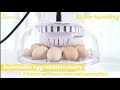 New Sailnovo 12-24 auto incubators for hatching eggs