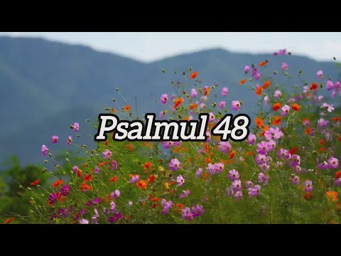 Psalmul 48