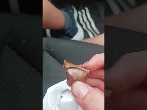 Dairy Milk Salted Caramel #shorts