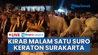 LIVE: Kirab Malam 1 Suro Keraton Kasunanan Surakarta, 5 Kebo Bule Kiai Slamet Jadi Cucuk Lampah