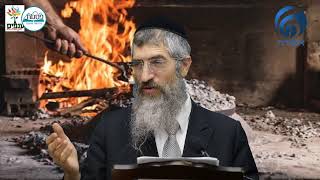 הרב יצחק יוסף - הלכות בישולי גויים  . (ארגון ענפים) - התמונה מוצגת ישירות מתוך אתר האינטרנט יוטיוב. זכויות היוצרים בתמונה שייכות ליוצרה. קישור קרדיט למקור התוכן נמצא בתוך דף הסרטון