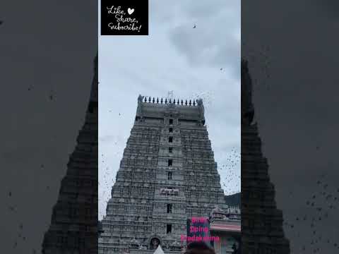 Arunachalam temple pradakshinam by birds....on pournami day🙏🙏