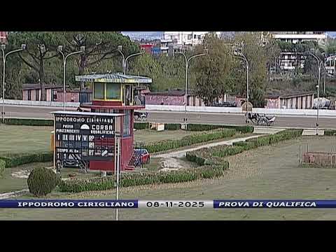 Aversa trotto 8 Novembre 2025 - Prova di qualifica