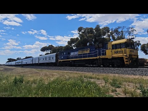 6MA8 down JBRE The Overland (NR111, 7V), Melbourne to Adelaide, 1235, 5/12/25, Horsham VIC 